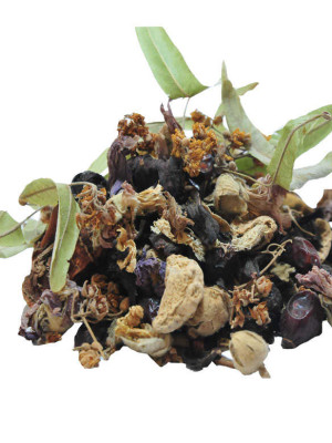 Bitkisel Karışık Osmanlı Çayı Kış Çayı 70 Gr Paket