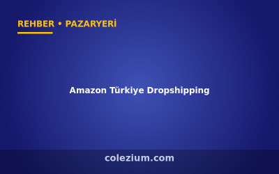 Amazon Türkiye Dropshipping ve Bayilik Rehberi