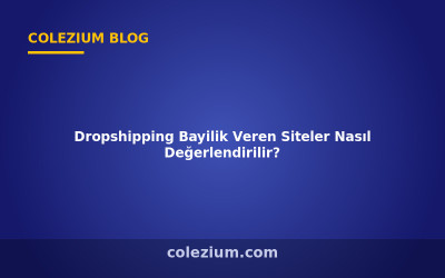 Dropshipping Bayilik Veren Siteler Nasıl Değerlendirilir?