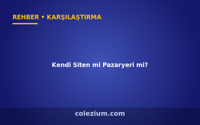 Kendi Siten mi Pazaryeri mi? E-Ticaret Kanalı Seçimi