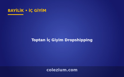 Toptan İç Giyim Dropshipping ve Bayilik