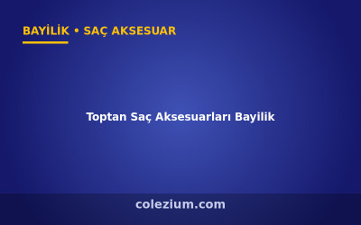 Toptan Saç Aksesuarları Bayilik ve Dropshipping