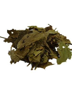 Ceviz Yaprağı Doğal 100 Gr Paket