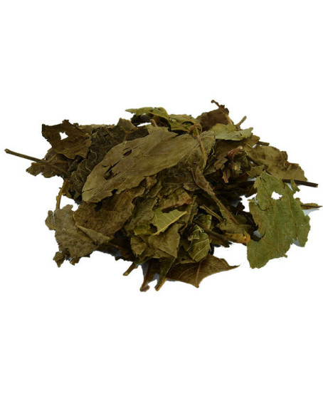 Ceviz Yaprağı Doğal 100 Gr Paket