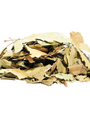 Çınar Yaprağı 100 Gr Paket