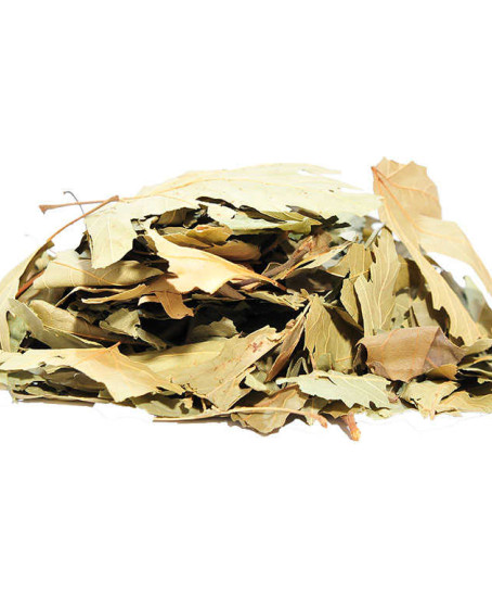 Çınar Yaprağı 100 Gr Paket