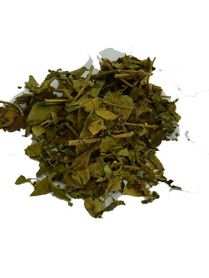 Cinnema Gurmar Otu Gymnema Sylvestr 100 Gr Paket