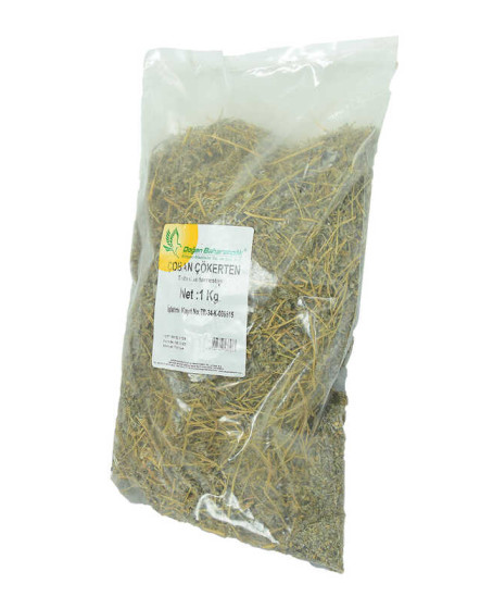 Çoban Çökerten Otu Doğal 1000 Gr Paket