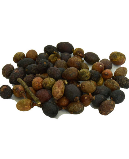 Defne Tohumu 100 Gr Paket