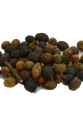 Defne Tohumu 100 Gr Paket