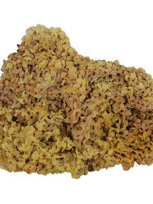 Deniz Kadayıfı Doğal Yerli 100 Gr Paket