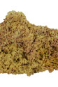 Deniz Kadayıfı Doğal Yerli 100 Gr Paket