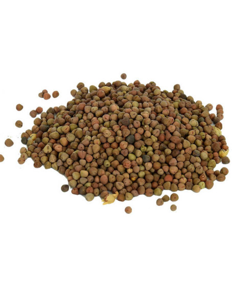 Doğal Burçak Tohumu 100 Gr Paket