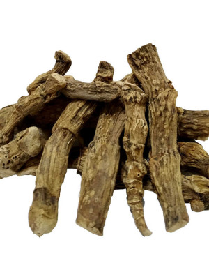 Doğal Hazanbel Kökü 50 Gr Paketli