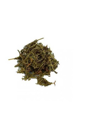 Eğrelti Otu Doğal 100 Gr Paket