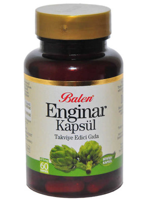 Enginar 60