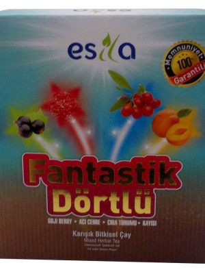 Fantastik Dörtlü Bitkisel Yaz Çayı 45 Süzen Poşet