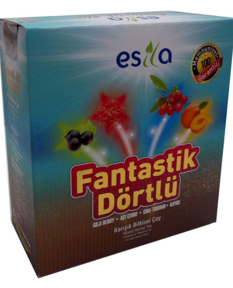 Fantastik Dörtlü Bitkisel Yaz Çayı 45 Süzen Poşet
