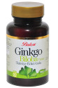 Ginkgo Biloba 60 Tablet