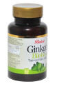Ginkgo Biloba 60 Tablet