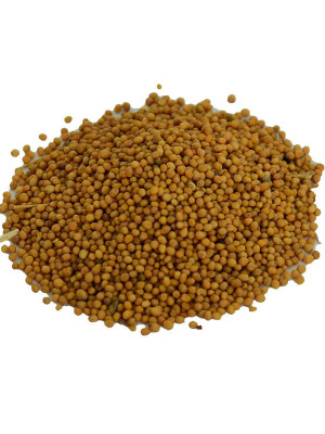 Hardal Tohumu Tane Doğal Sarı 100 Gr Paket