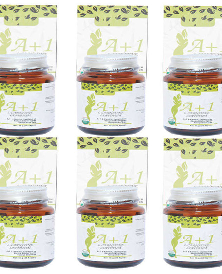 A1 L-Carnitine Lepidium Bitkisel 30  X 6 Adet