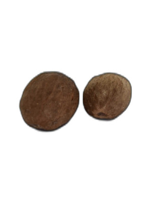 Hint Cevizi Muskat Küçük Hindistan Cevizi Doğal 10 gr Paket