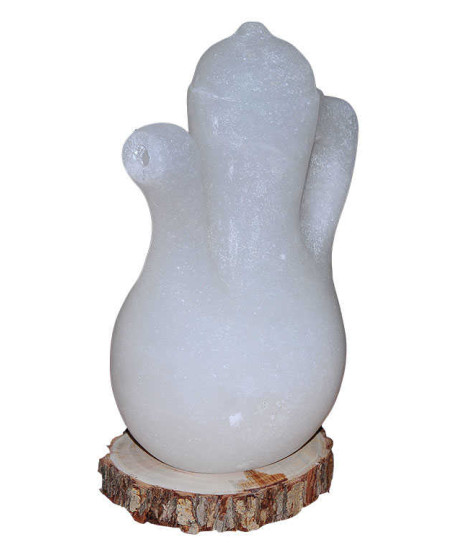 İbrik Şekilli Doğal Kaya Tuzu Lambası Çankırı Kablolu Ampullü Beyaz 5-7 Kg İbrik Şekilli Doğal Kaya Tuzu Lambası Çankırı Kablolu Ampullü Beyaz 5-7 Kg