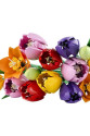 11501 Lego Botanicals Lale Buketi 576 parça +18 yaş