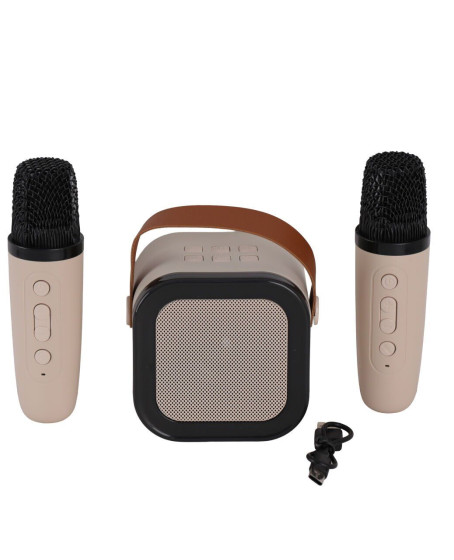 EMR-102 KUTULU 2Lİ KARAOKE MİKROFON
