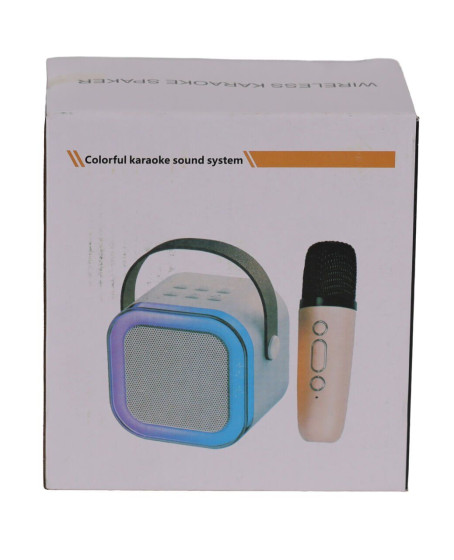 EMR-102 KUTULU 2Lİ KARAOKE MİKROFON