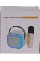 EMR-102 KUTULU 2Lİ KARAOKE MİKROFON