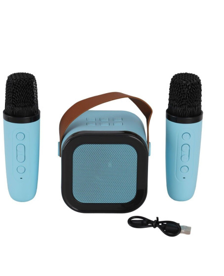EMR-102 KUTULU 2Lİ KARAOKE MİKROFON