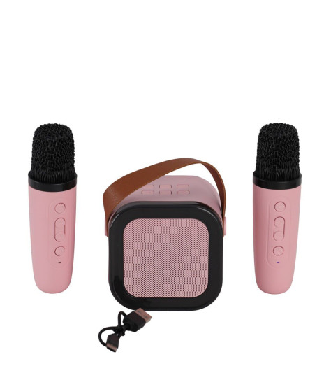 EMR-102 KUTULU 2Lİ KARAOKE MİKROFON