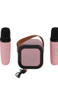 EMR-102 KUTULU 2Lİ KARAOKE MİKROFON