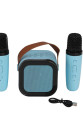 EMR-102 KUTULU 2Lİ KARAOKE MİKROFON