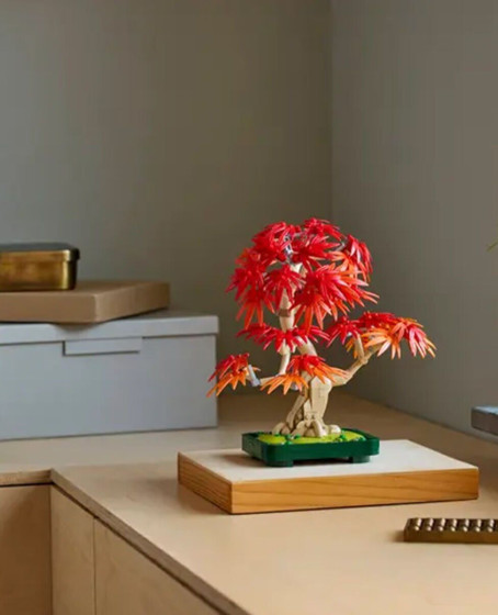 10348 Lego iconic Japon Akçaağaç Bonsai Ağacı 474 parça +18 yaş 10348 Lego iconic Japon Akçaağaç Bonsai Ağacı 474 parça +18 yaş