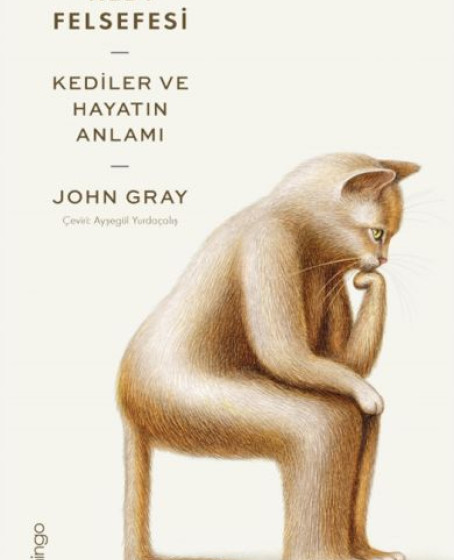 Kedi Felsefesi