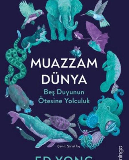 Muazzam Dünya: Beş Duyunun Ötesine Yolculuk