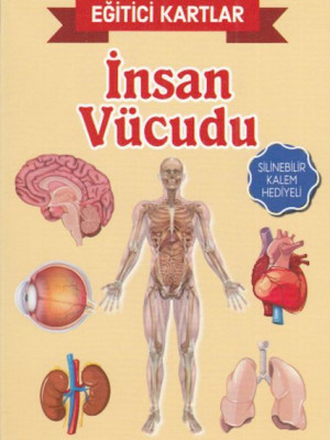 Eğitici Kartlar İnsan Vücudu Eğitici Kartlar İnsan Vücudu