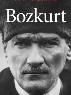 Bozkurt Bozkurt