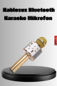 Kablosuz Karaoke Mikrofon USB AUX Destekli Parti ve Eğlence İçin
