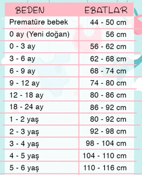 Ayıcık Desenli Şapkalı Erkek Bebek Takım