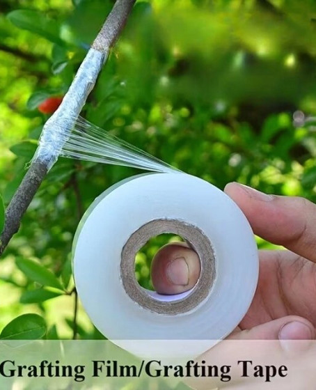 5 Cm Aşı Streçi 200 Metre - Profesyonel Fidan Ve Ağaç Aşı Bandı (yüksek Esnek) 5 Cm Aşı Streçi 200 Metre - Profesyonel Fidan Ve Ağaç Aşı Bandı (yüksek Esnek)