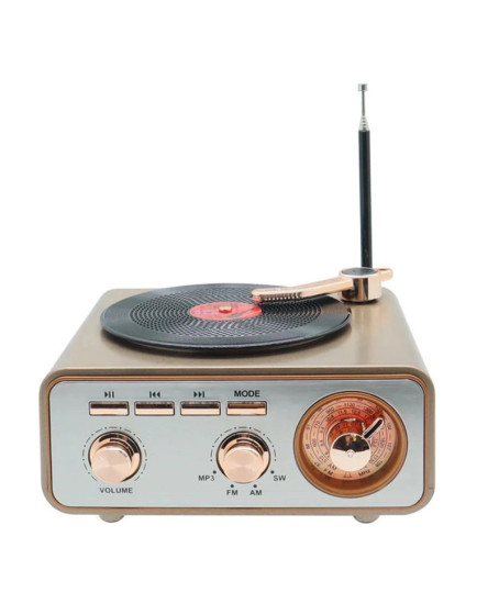 Metalik Nostaljik Tasarım Plak Çalar Görünümlü Radyolu Bluetooth Hoparlör Retro Müzik Plak Metalik Nostaljik Tasarım Plak Çalar Görünümlü Radyolu Bluetooth Hoparlör Retro Müzik Plak