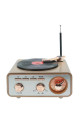 Metalik Nostaljik Tasarım Plak Çalar Görünümlü Radyolu Bluetooth Hoparlör Retro Müzik Plak Metalik Nostaljik Tasarım Plak Çalar Görünümlü Radyolu Bluetooth Hoparlör Retro Müzik Plak
