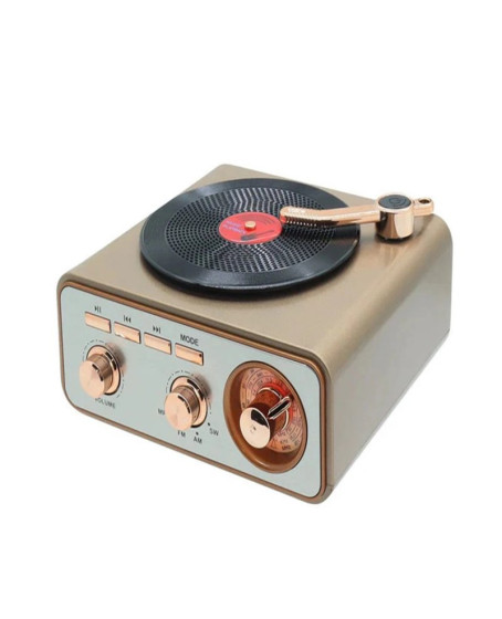 Metalik Nostaljik Tasarım Plak Çalar Görünümlü Radyolu Bluetooth Hoparlör Retro Müzik Plak Metalik Nostaljik Tasarım Plak Çalar Görünümlü Radyolu Bluetooth Hoparlör Retro Müzik Plak