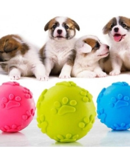 Köpek Isırma Topu Pati Desenli 1291