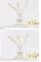 3 Tek Adet 3 Model Aromaterapi Koku Dağıtıcı Rattan Şişe Ahşap Difüzör Çubuk (Spiral-Yaprak-Dalgalı) 3 Tek Adet 3 Model Aromaterapi Koku Dağıtıcı Rattan Şişe Ahşap Difüzör Çubuk (Spiral-Yaprak-Dalgalı)