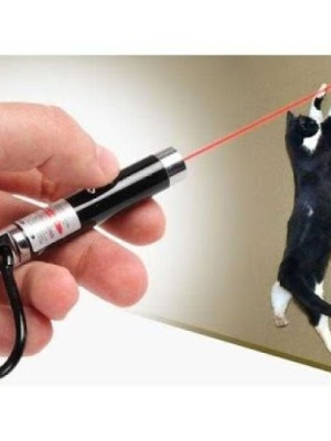 4 Yedek Başlıklı Pilli Kedi Oyuncağı Lazer Anahtarlık